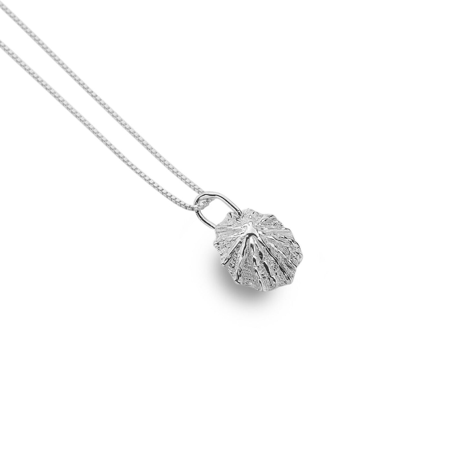 Limpet Shell Pendant Sterling Silver 925 Hallmarked All Chain Lengths