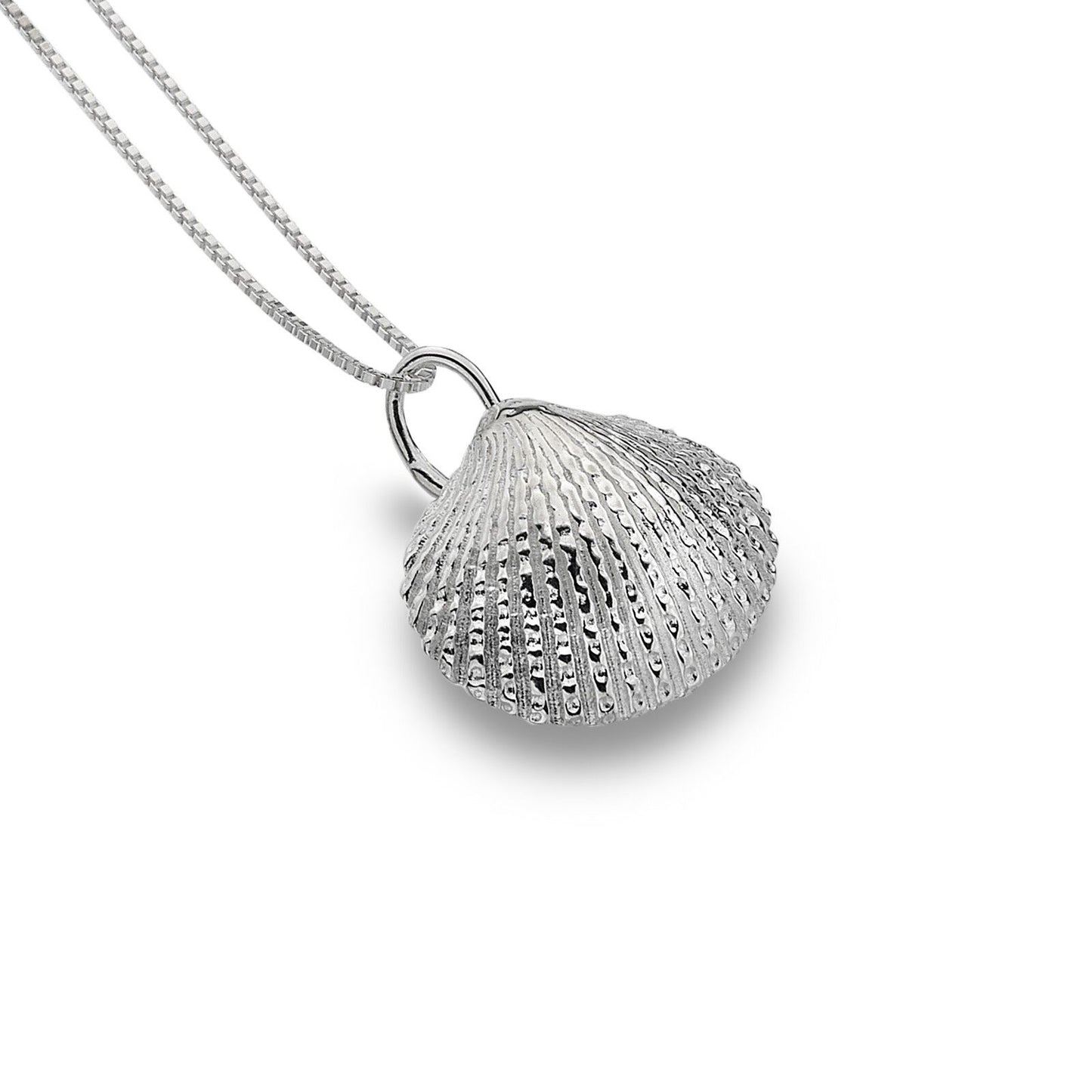 Cockle Shell Pendant Sterling Silver 925 Hallmarked All Chain Lengths