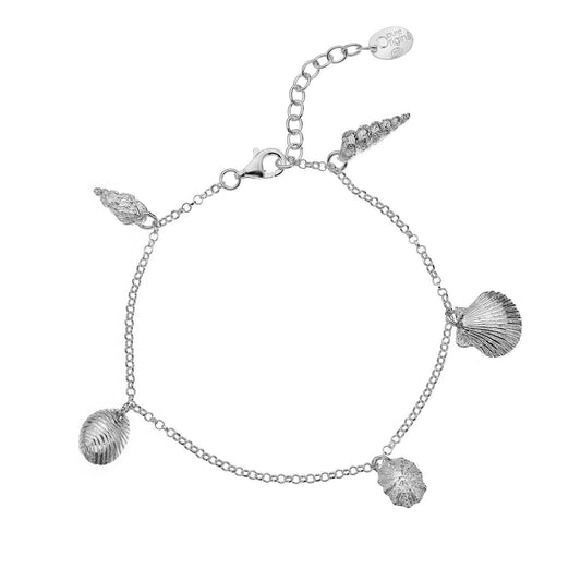 Silver Seashell Charm Bracelet Solid Sterling Silver Hallmarked Luxury Box